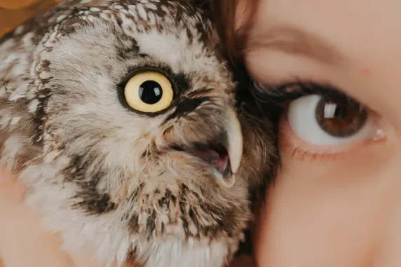 Казино Палас ъв Чанс Поддръжка